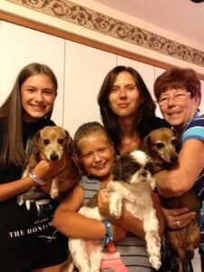 dachshund family reunion 